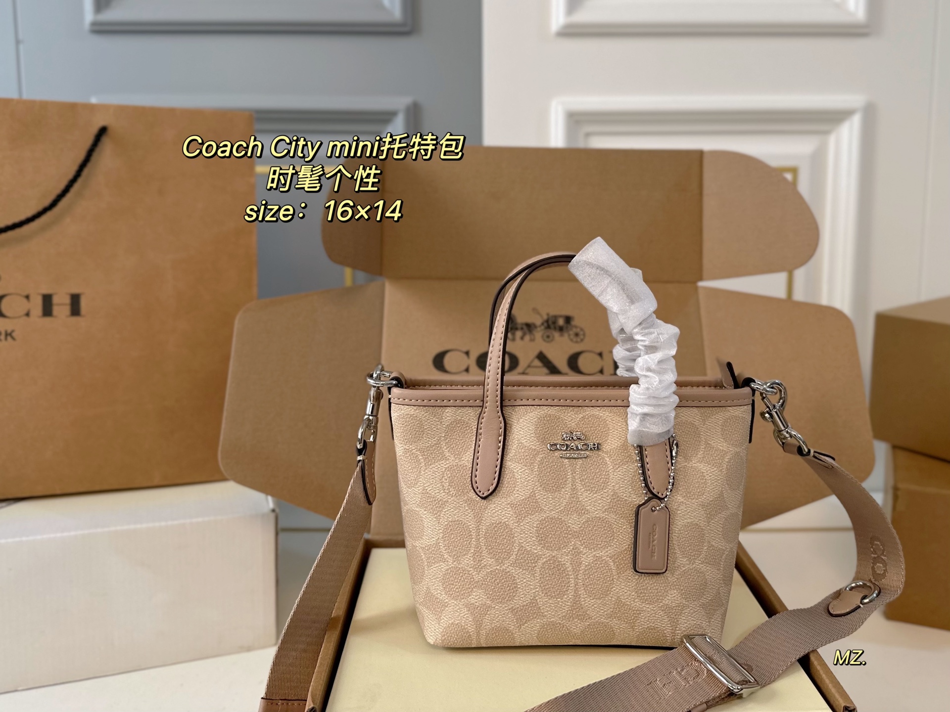 coach bag 196